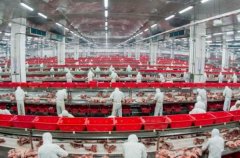 <b>恰好是金锣集团加快成长的焦点引擎</b>